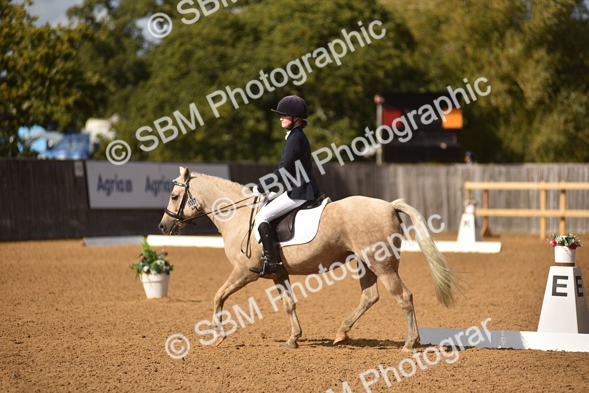 SBM_48775 - D22 - Junior Championship Intro 3
