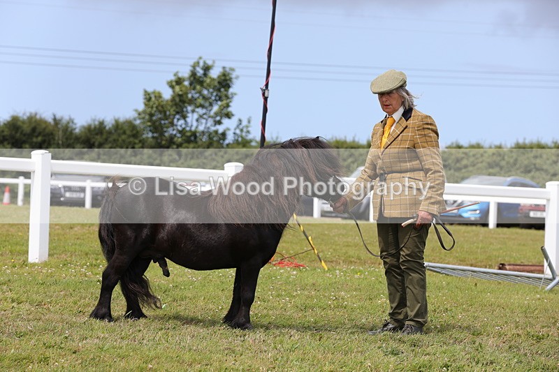 1X9A4764 - Class 35: Veteran In Hand