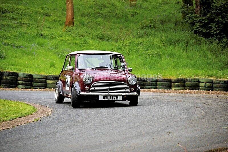 _56A1833 - MINI FESTIVAL 22ND May 2021