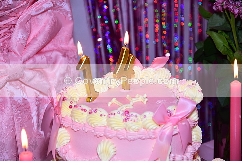 SIE-342 - Sienna's 14th