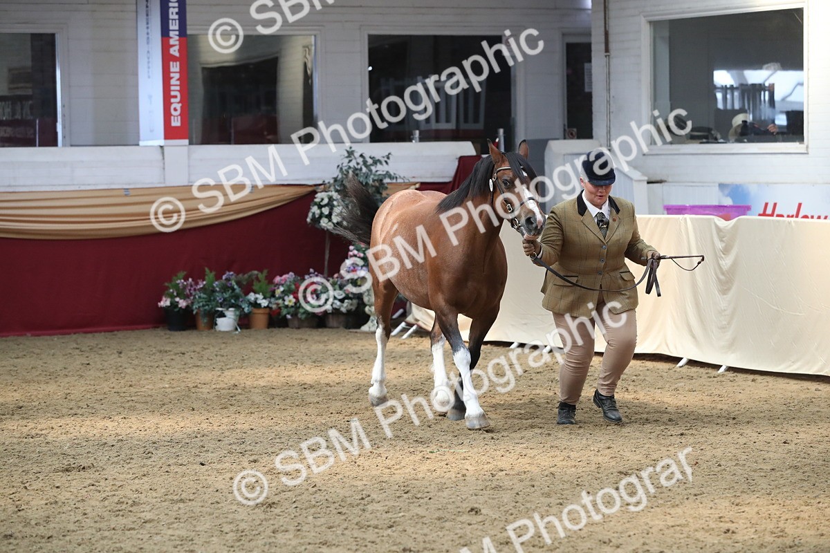 SBM_15332 - Class 501 M&M IH Supreme Final