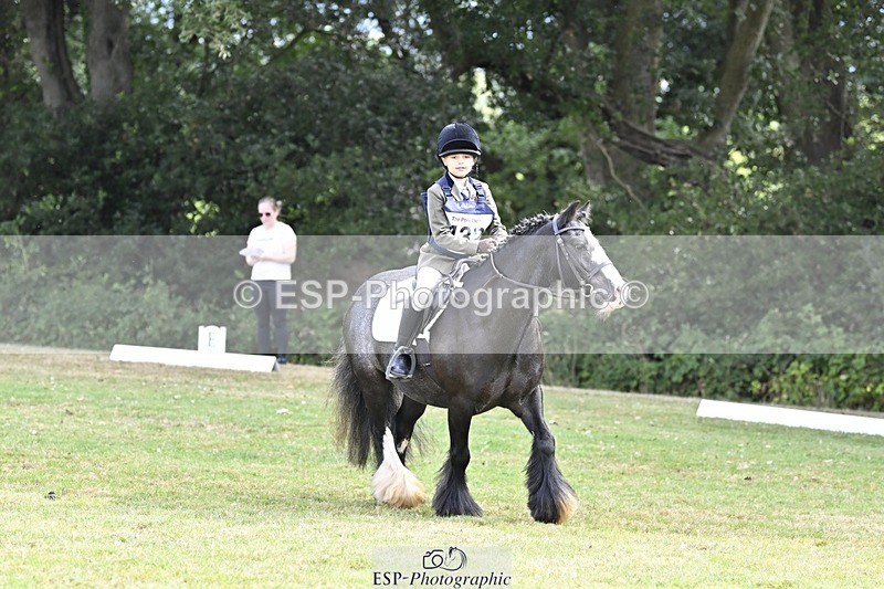 250821A-102201-14286 - DR 10.00 to 11.00