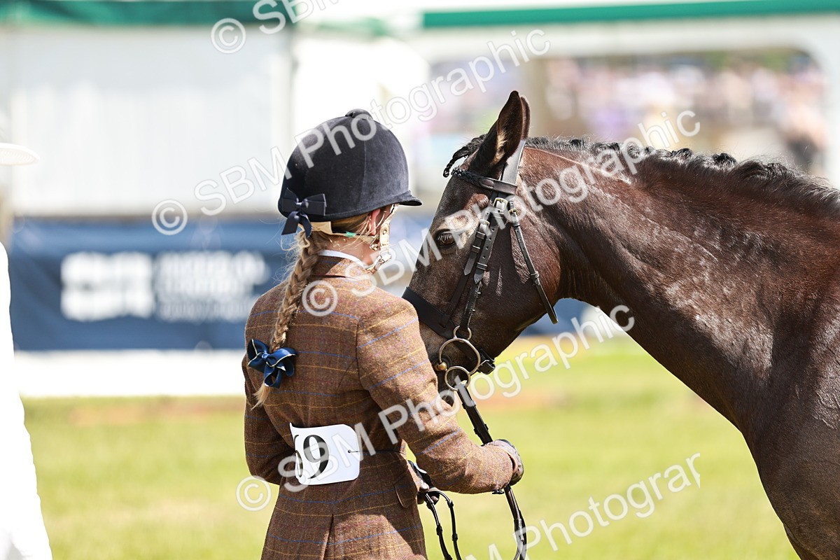 SBM_15482 - Class 108-109 - BSPS LIHS Open Gradle & Nursery Stakes