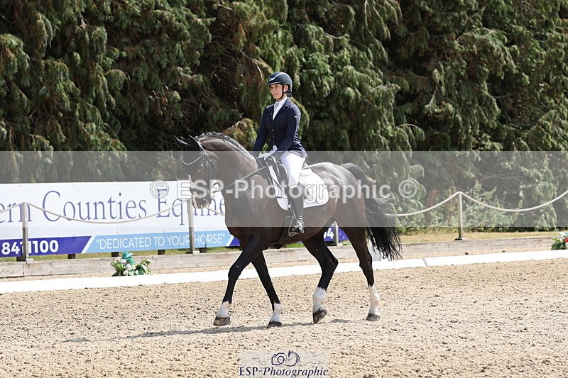 250809A-140612-03886 - 141-Brooklyn.DawRoulette.MKM