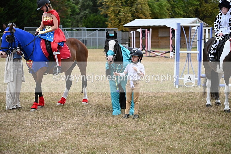 WJ6_9081 - Class 11 Fancy Dress