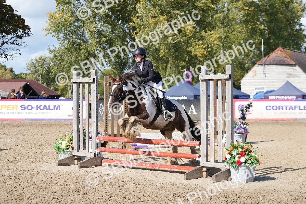 SBM_46613 - J7 - Junior Pony 60cm Championship