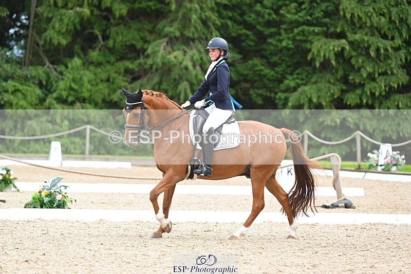 230813-133942-07616 - Cls 13 Medium Bronze 13.15 to End