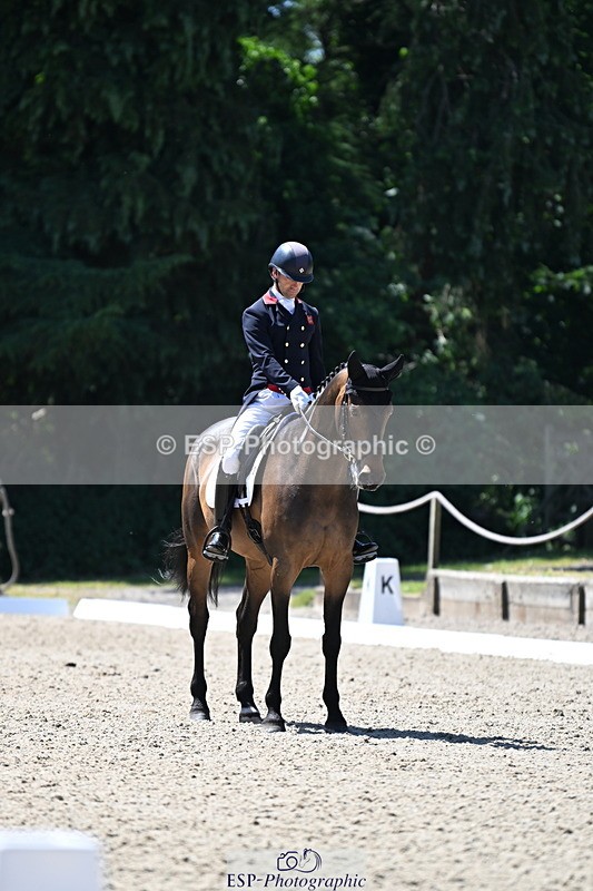250522A-115956-03595 - C-205-Harry.Meade-IF.IN.DOUBT