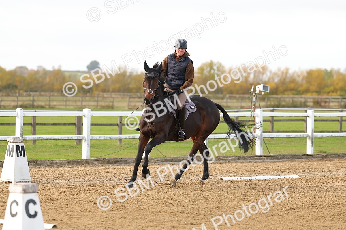 SBM_001110 - Class 13-4-9 - DR P3 CT P3 70cm CT PYO