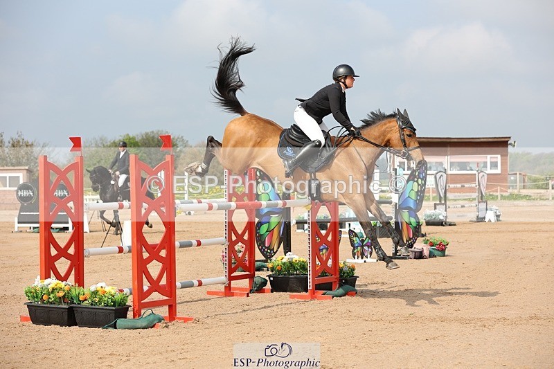 250424-102950-03053 - Cls 33 Young Horse 7yr old