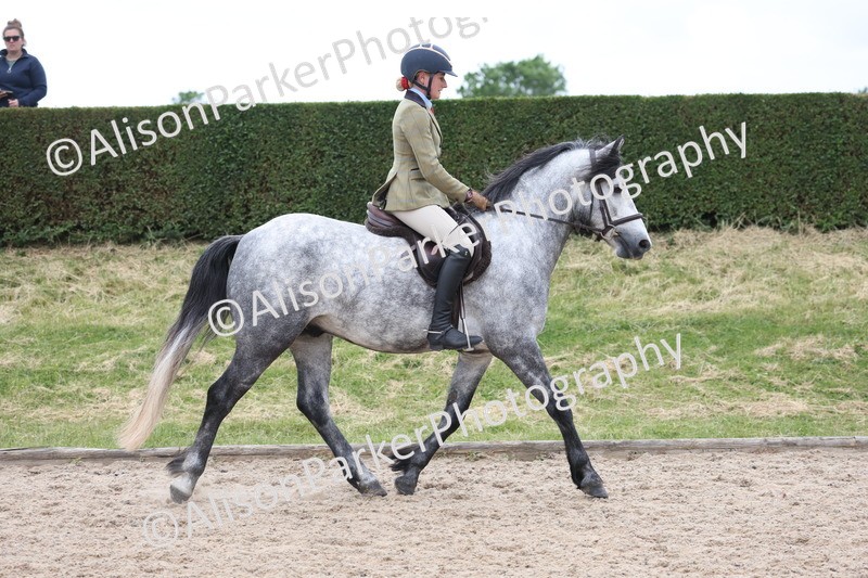 20250524-1353 - Class 16 - Hunter and Cob