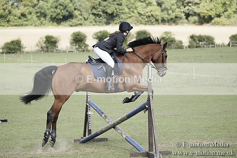 BVR090918 627 - BVRC Dressage and Show Jumping 09/09/18