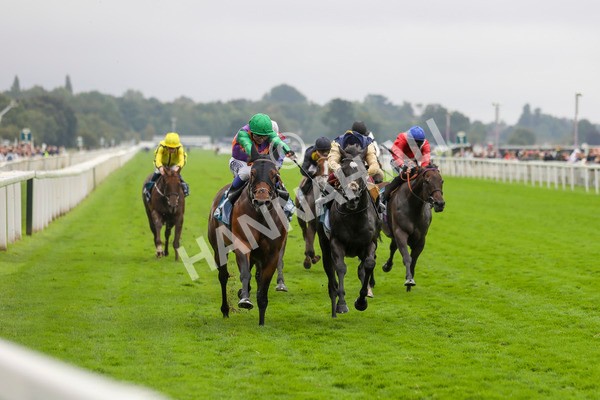 080924-Race 5-Quinault-4512 - Race 5 4.00pm Starman At Tally Ho Stud Garrowby Stakes