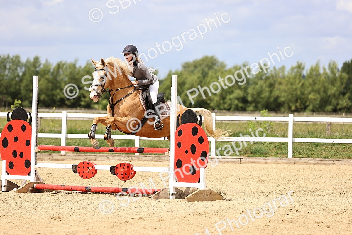 SBM_007638 - Class 2 - 80cm showjumping