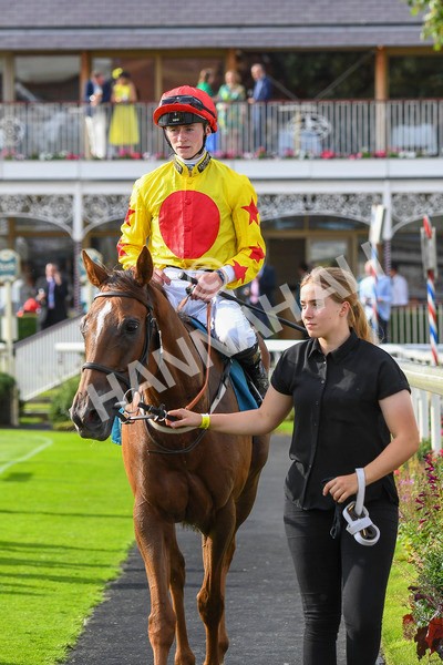 280723-Race 2-Quest For Fun-0228 - Race 2 5.30pm eventmasters.co.uk Handicap