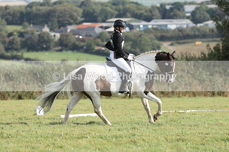 JPP_8136 - Class 2A: Trekenning Open: Dressage