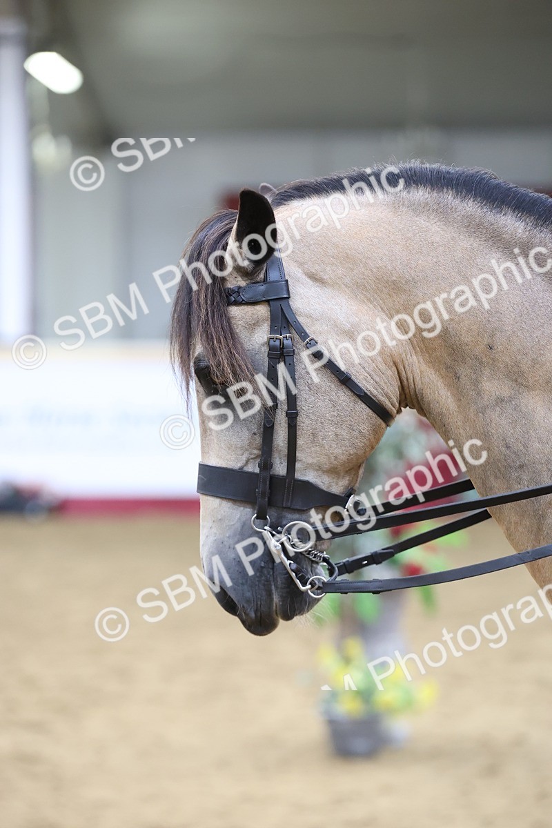 SBM_23660 - class 906 - Supreme Final - Ridden Pre Vet