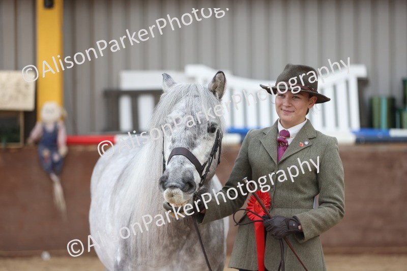 20251109-1052 - Class 28 - Mares 4 Years and over