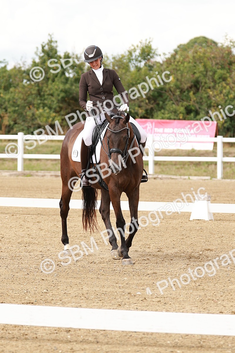 SBM_002403 - Class 11 - Medium 6