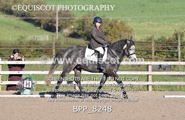 BPP_8248 - SHORT ARENA
