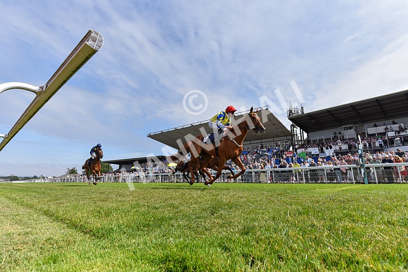 140726-Race 3-Pendella-2927 - Race 3 15.17pm Malcolm Greenslade Doncaster LVA Stalwart Memorial Handicap