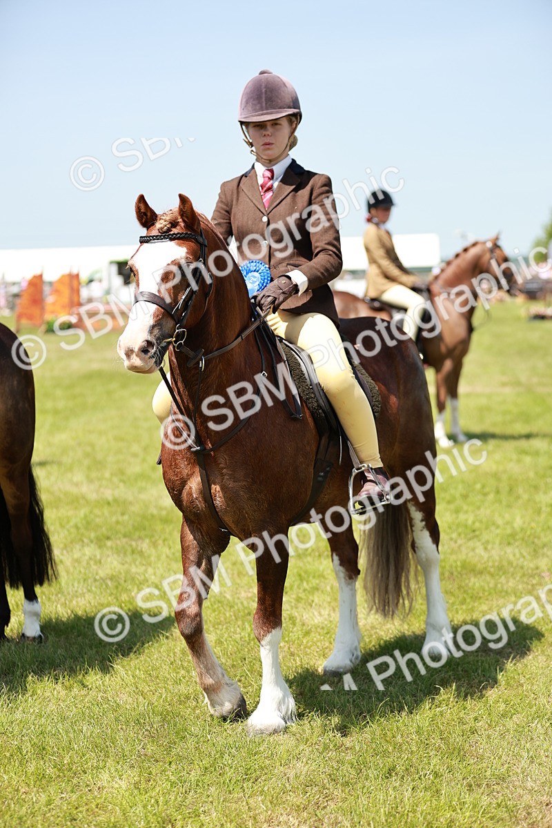 SBM_15715 - Class 108-109 - BSPS LIHS Open Gradle & Nursery Stakes