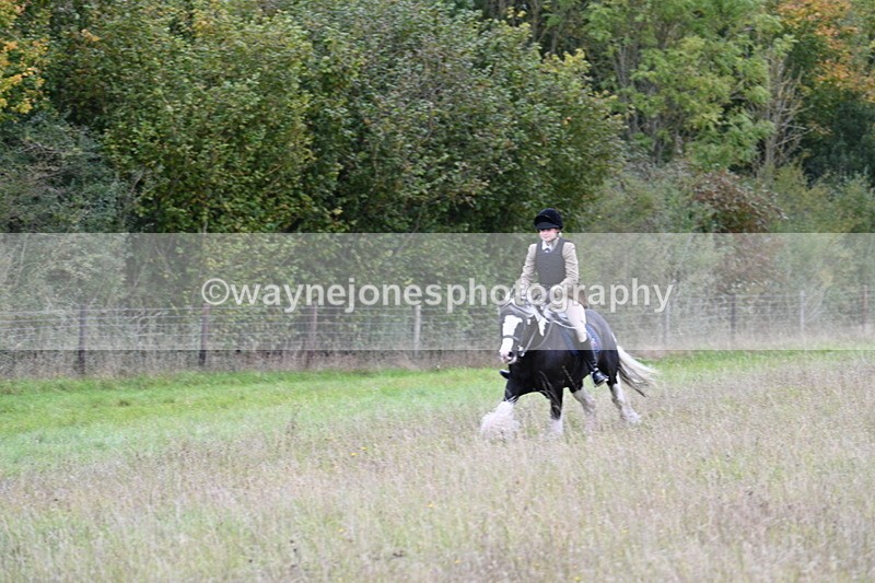 WJ7_3960 - Camera 1 Line 1