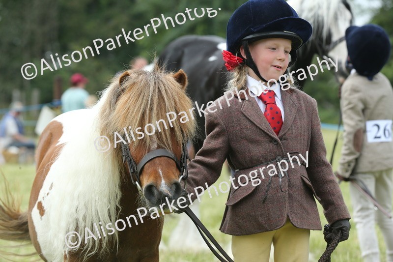 20260614-4291 - Class 18 - Best Junior Handler