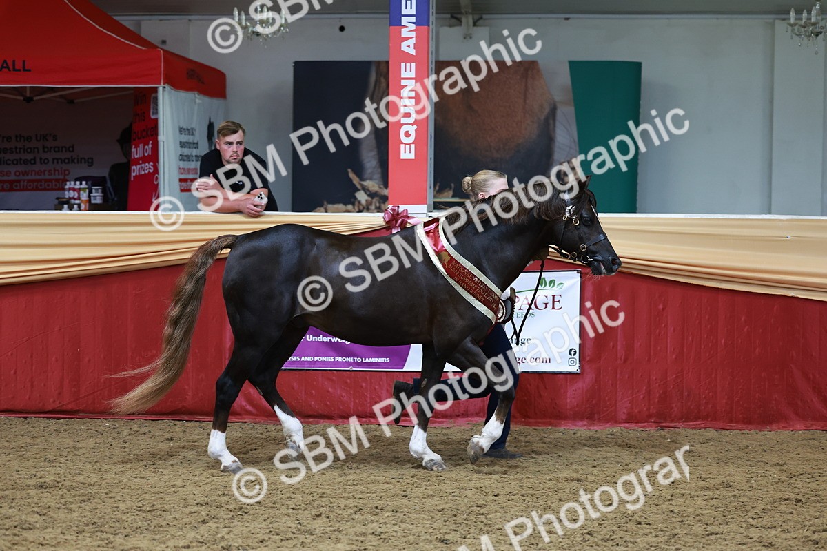 SBM_17616 - Class 951 - M&M IH Supreme Final