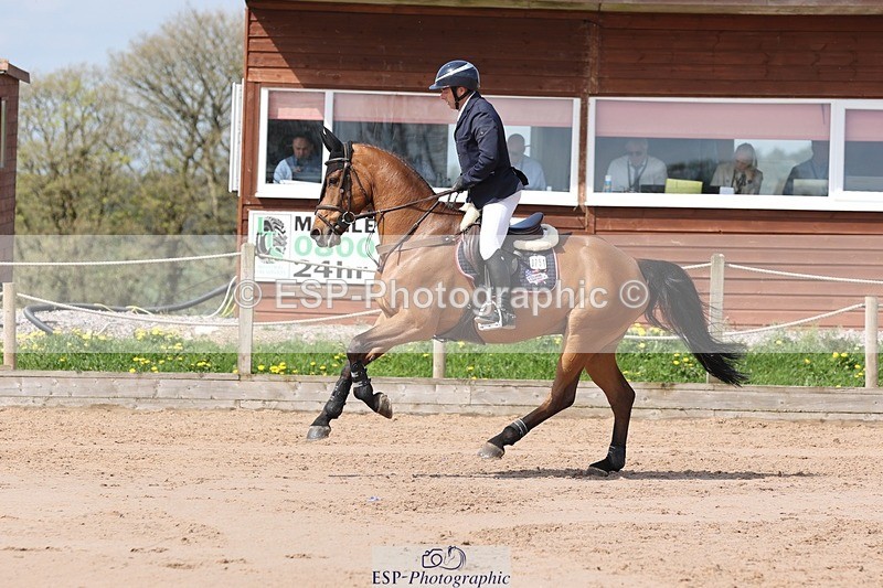 250427-113154-15971 - Cls 36 Young Horse 7yr old