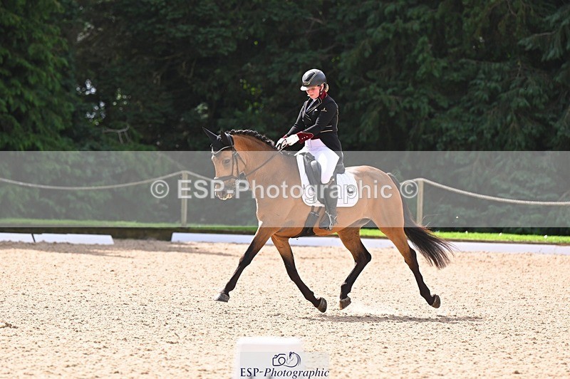 240809-104411-00371 - 173-Daisy.Winkle-Decandro.Hit.LDS