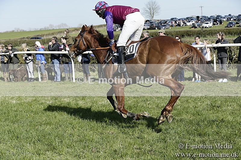 PtP 250317 237 - V.W.H. Hunt Point-to-Point Siddington 25/03/17