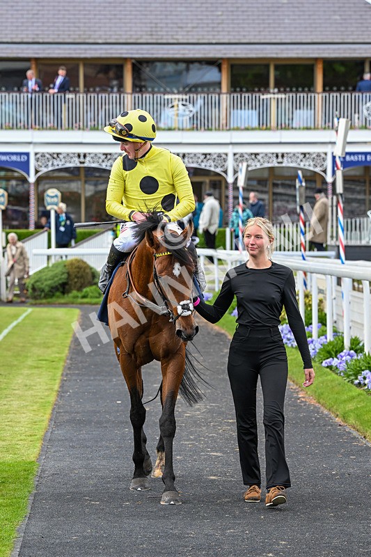 140526-Race 6-Dickensian-5881 - Race 6 4.40pm British Stallion Studs EBF Westow Stakes