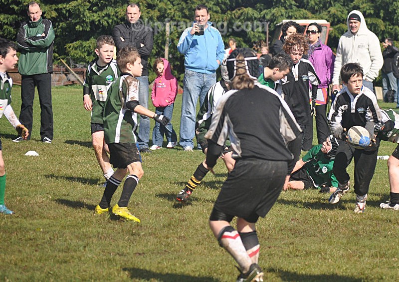  - sports  rugby soccer gaelic pics