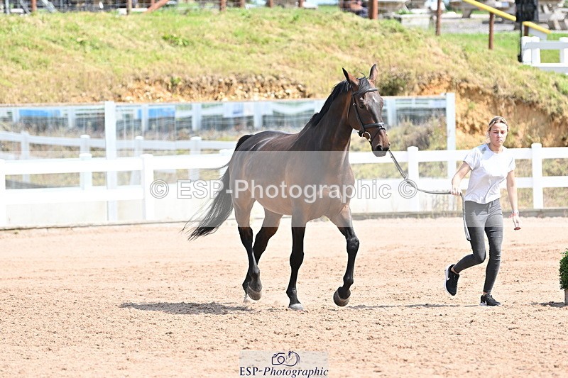 240717A-153757-02930 - Trot Up 3pm to 4pm