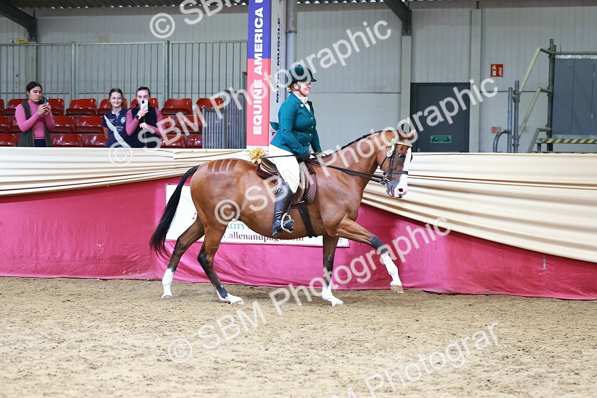 SBM_23717 - Class 905 - Supreme Final - Ridden Veteran