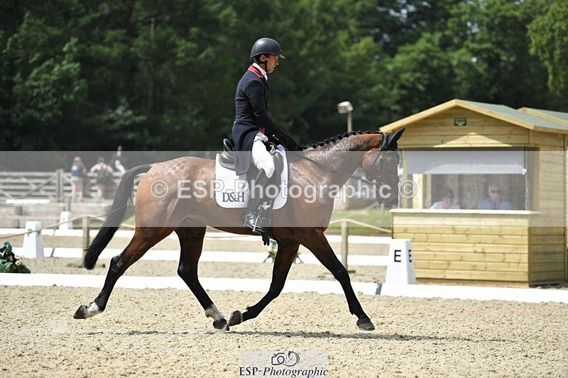 230525-115151-01914 - 104-GALAKIS_DE_L'OCEAN-Harry_Meade-WEDTrotUp+DR