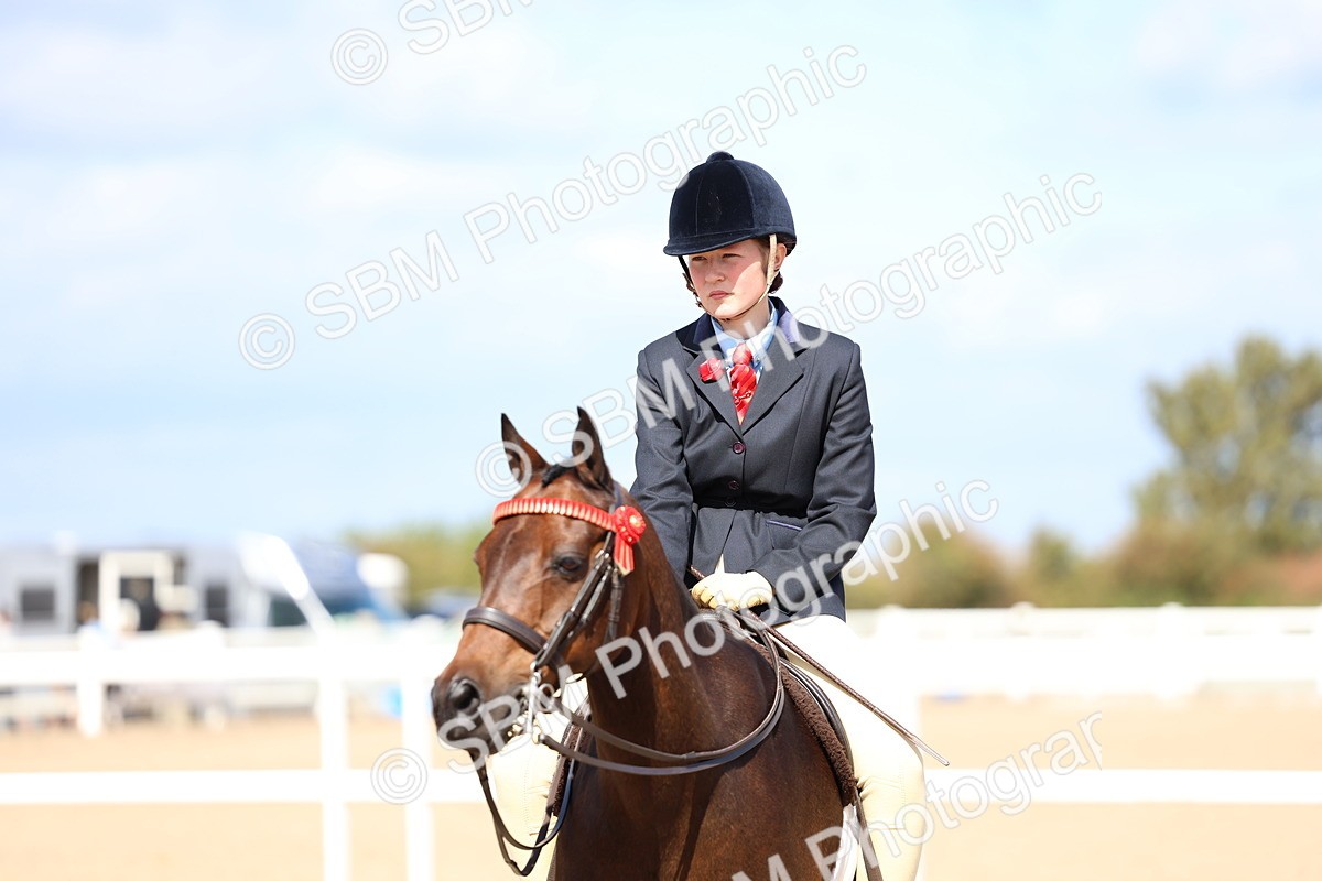 SBM_13337 - Class 311 - Ridden Show Pony Show Hunter Pony