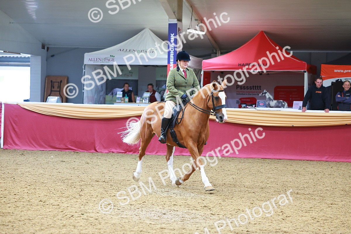 SBM_06109 - Class 12R - Ridden Pre-Vet