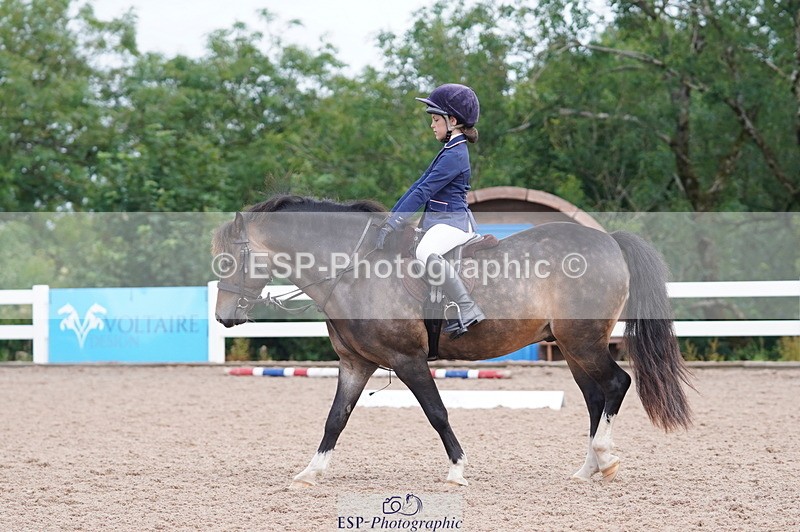240809A-095844-00381 - Dressage Competition