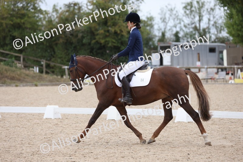 20250820-1256 - Class 18 - Elementary 5