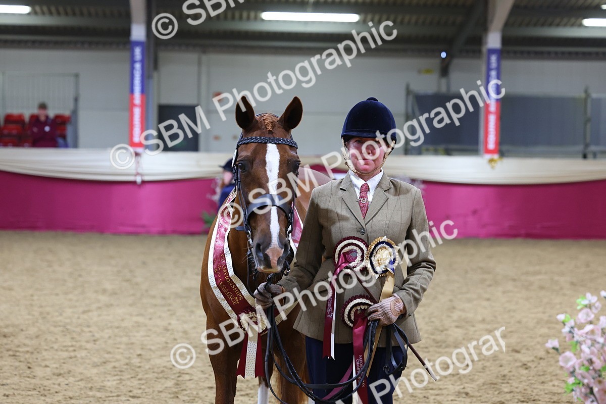 SBM_19811 - Class 901 - Supreme Final - IH Diamond