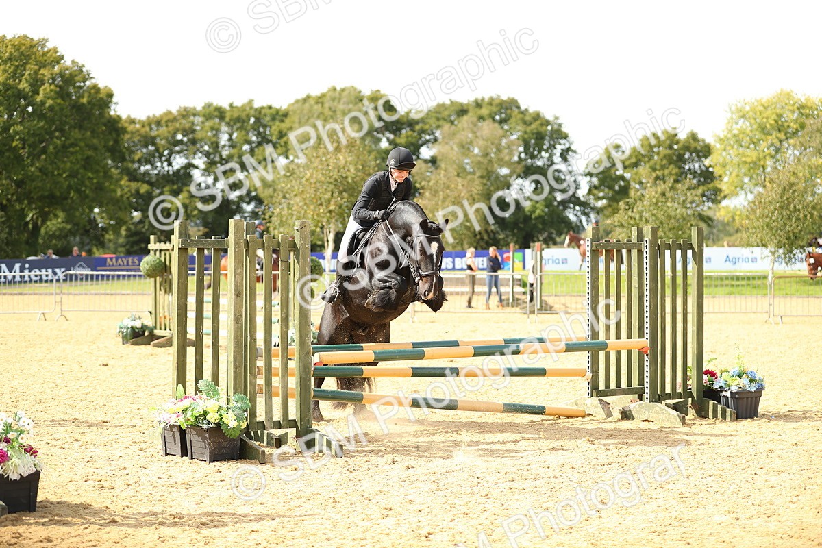 SBM_67303 - J17 - Junior Pony 80cm Championship