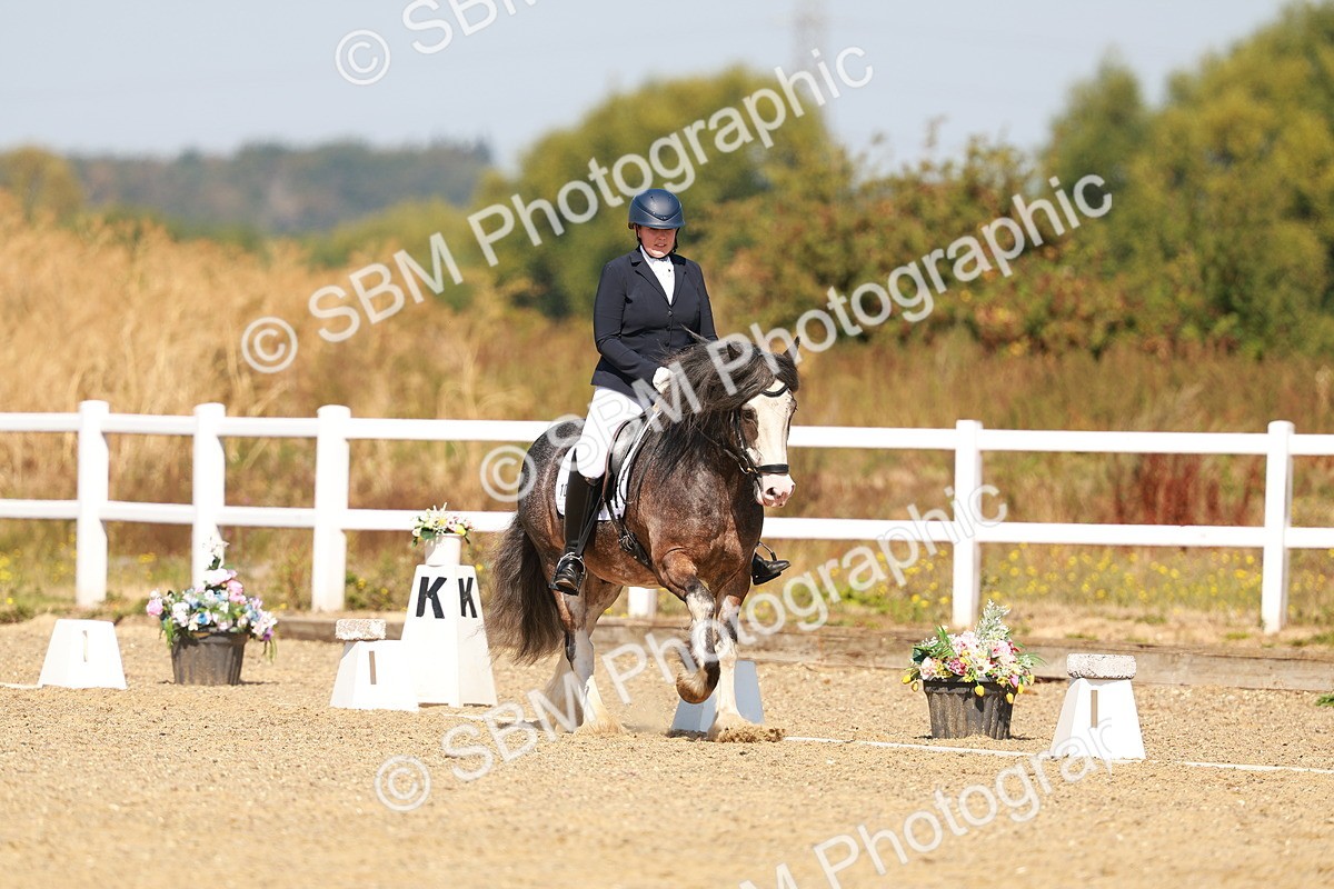 SBM_017775 - Class 9 - N5 Bronze 10.33.11.36
