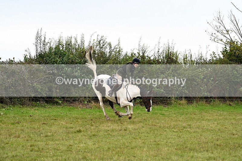 WJ7_4187 - Camera 1 Line 2