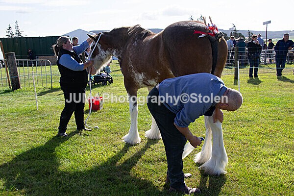 DSC_0168 - Ring 1