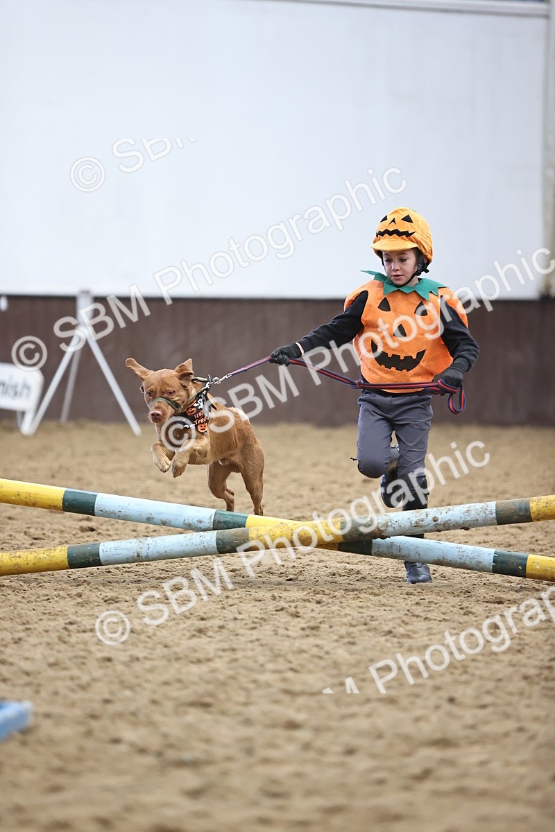 SBM_001366 - Class 3 - Horse & Hound 60cm