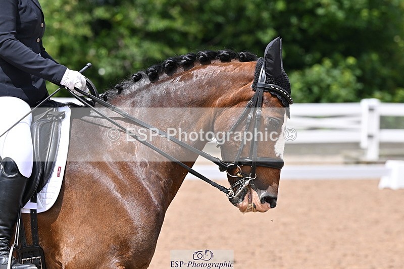 240622A-124853-10262 - Cls 30 BD Elementary 53