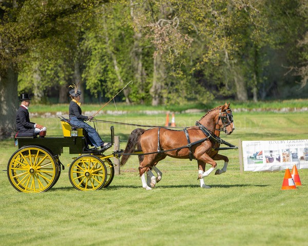 Attelage -638 - CIAT Glamis 2026