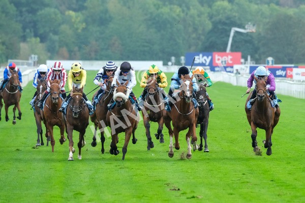 080925-Race 6-Rhapsody-9603 - Race 6 5.00pm Sky Bet Build A Bet Fillies' Handicap